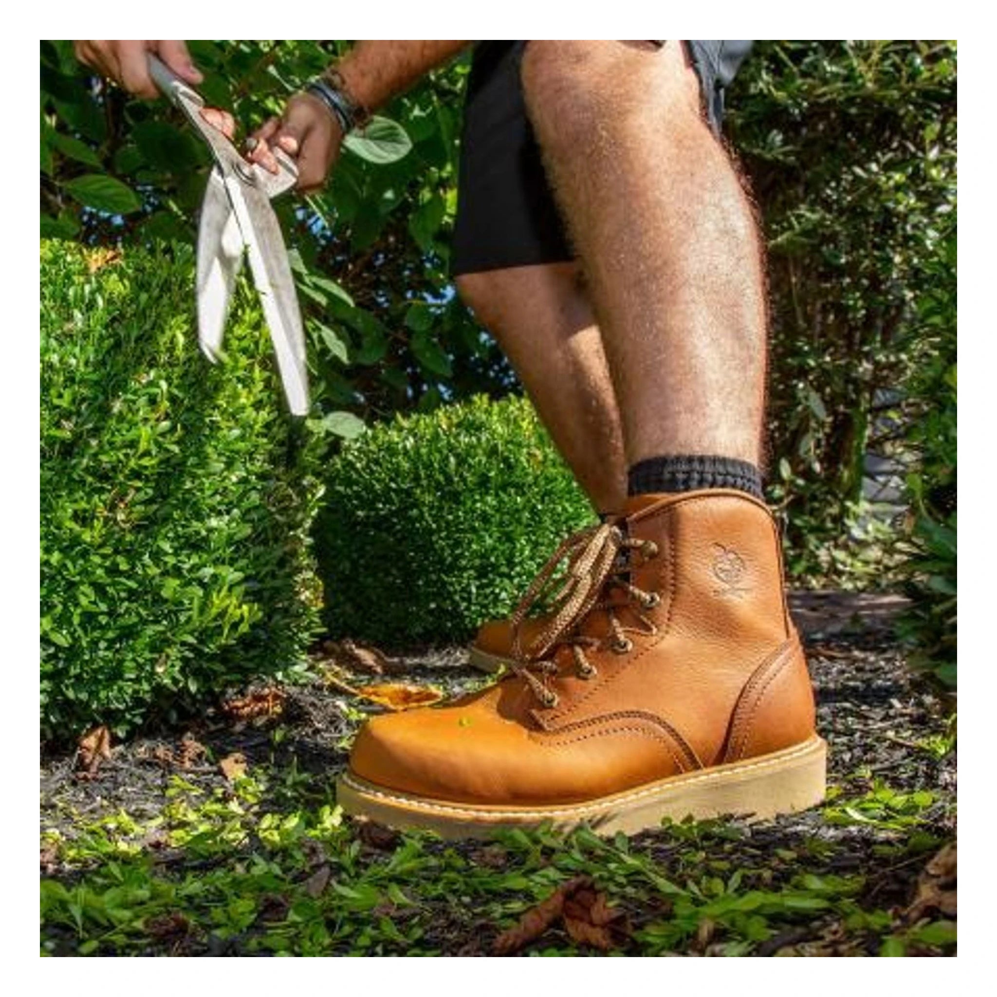 Person wearing G6152 6" Wedge Barracuda Boots Gold Boots, Person wearing black shorts and tan work boots standing in lush